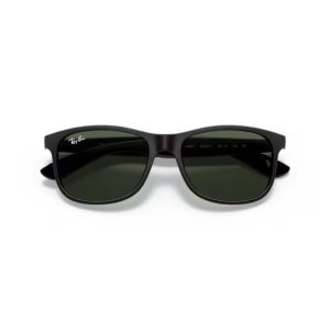 Ray-Ban ANDY 4202 606971 55◻17 145