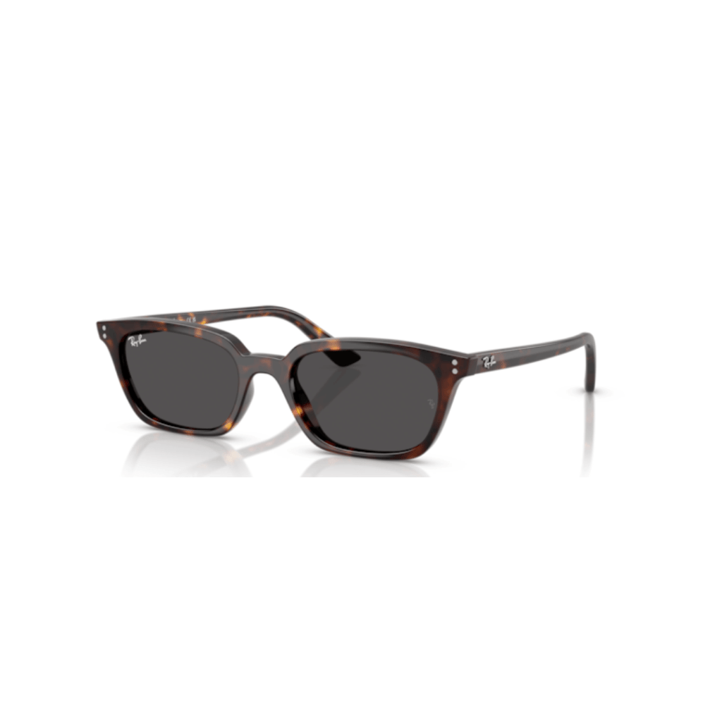 Ray-Ban 4456 ZAYA