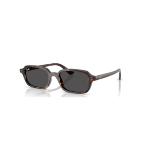 Ray-Ban 4455 ZURI