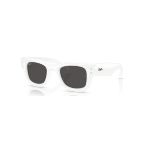 Ray-Ban 4940 WAYFARER PUFFER