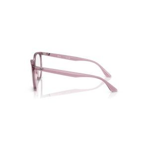 Ray-Ban 4978V-1