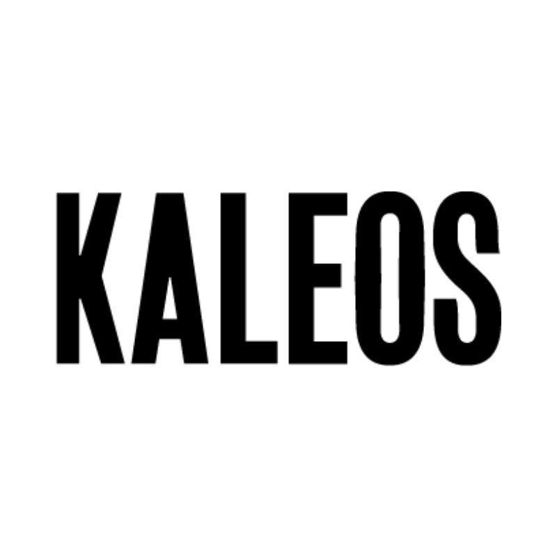 Imagen del logo KALEOS